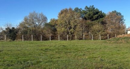 Les Peintures Terrain à bâtir - 2337852-10947annonce1202511141yqkU.jpeg Maisons Open