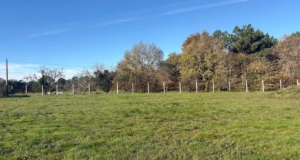 Les Peintures Terrain à bâtir - 2337852-10947annonce220251114pzUIp.jpeg Maisons Open