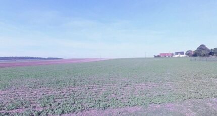 Haute-Avesnes Terrain à bâtir - 2399120-5719annonce220260120GH8ME.jpeg Maisons Open