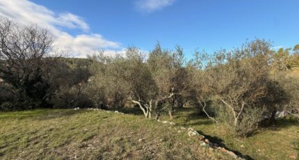 Carnoules Terrain à bâtir - 2399170-11136annonce220260120yDhDM.jpeg Maisons Open