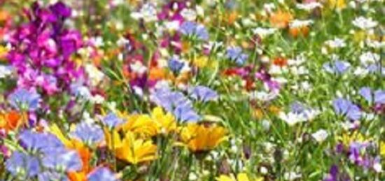 Terrain à bâtir à Vallères, Centre-Val de Loire