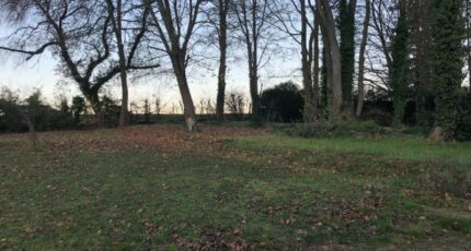 Chamant Terrain à bâtir - 2370930-4496annonce120240819rw1OO.jpeg Maisons Open