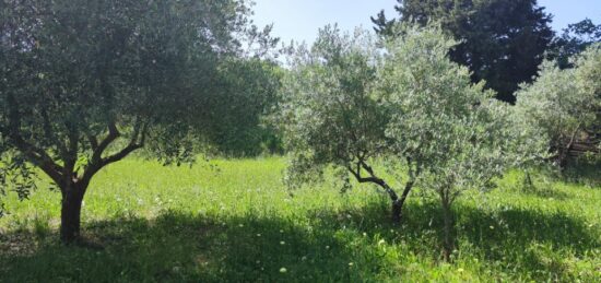 Terrain à bâtir à , Var