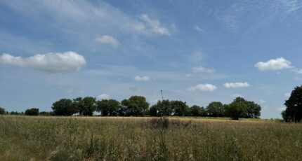 Saint-Christol Terrain à bâtir - 2305449-11455annonce120251015Isx8I.jpeg Maisons Open