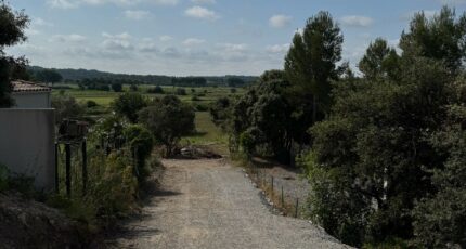 Saint-Bauzille-de-Montmel Terrain à bâtir - 2305434-11455annonce120251015DZH2C.jpeg Maisons Open