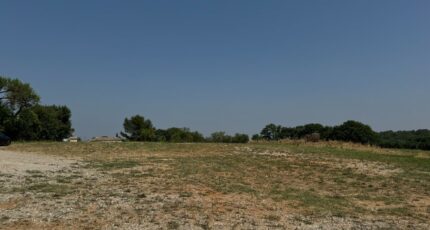 Galargues Terrain à bâtir - 2305559-11455annonce12025101503hTw.jpeg Maisons Open