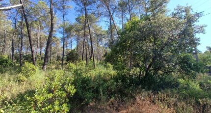 Bagnols-en-Forêt Terrain à bâtir - 2399831-9911annonce520260120vazSZ.jpeg Maisons Open