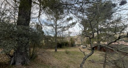 Salernes Terrain à bâtir - 2400018-11723annonce120260121qXGXB.jpeg Maisons Open