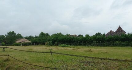 Montpon-Ménestérol Terrain à bâtir - 2400007-5020annonce1202601213Lfqy.jpeg Maisons Open