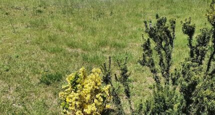 Claira Terrain à bâtir - 2400032-4671annonce120260121oMLn4.jpeg Maisons Open