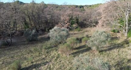 Éguilles Terrain à bâtir - 2400080-2699annonce120260121TvHMP.jpeg Maisons Open