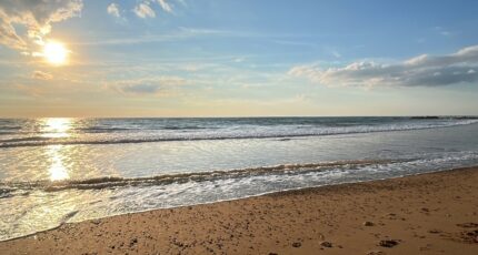 L'Île-d'Olonne Terrain à bâtir - 2400662-10920annonce420260121JNCOP.jpeg Maisons Open