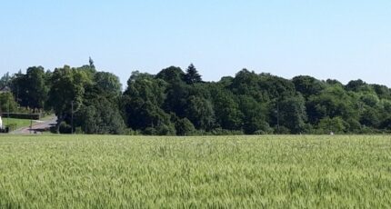 Boullay-les-Troux Terrain à bâtir - 2324517-11643annonce1202510313FhnK.jpeg Maisons Open