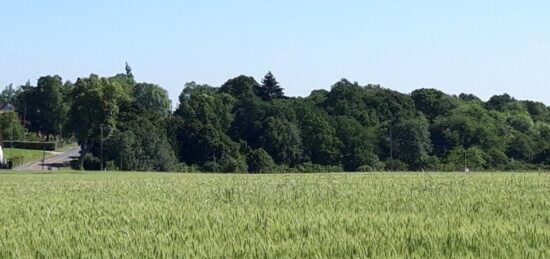 Terrain à bâtir à Boullay-les-Troux, Île-de-France