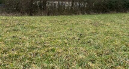 Saint-Cosme-en-Vairais Terrain à bâtir - 2400203-3704annonce120260121i0lxQ.jpeg Maisons Open