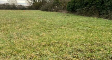 Saint-Cosme-en-Vairais Terrain à bâtir - 2400199-3704annonce120260121APUAs.jpeg Maisons Open