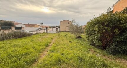 Solliès-Pont Terrain à bâtir - 2399256-11136annonce120260120pHFTi.jpeg Maisons Open