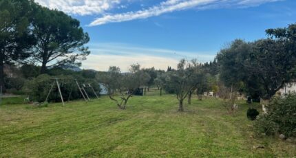 Mas-Blanc-des-Alpilles Terrain à bâtir - 2400573-11073annonce1202601219CwL3.jpeg Maisons Open