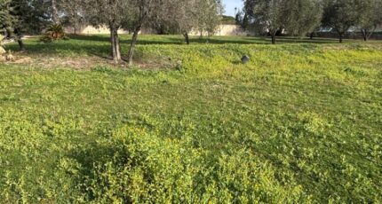 Roquebrune-sur-Argens Terrain à bâtir - 2400324-5826annonce220260121blBfL.jpeg Maisons Open