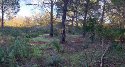 Puget-sur-Argens Terrain à bâtir - 2314468-11157annonce320251022cBcPU.jpeg Maisons Open