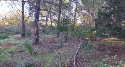 Puget-sur-Argens Terrain à bâtir - 2314468-11157annonce4202510225r7JZ.jpeg Maisons Open