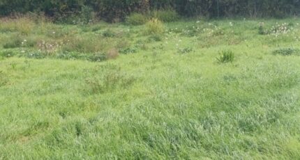 Pertuis Terrain à bâtir - 2337725-2970annonce120251114HNOLT.jpeg Maisons Open