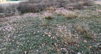 Pertuis Terrain à bâtir - 2337978-2970annonce120251114sStnd.jpeg Maisons Open