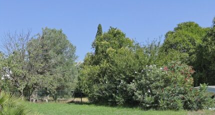 La Crau Terrain à bâtir - 2400913-11079annonce220260121k22Z2.jpeg Maisons Open