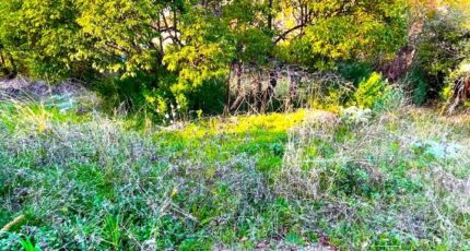 Mougins Terrain à bâtir - 2400918-11719annonce320260121ibfgR.jpeg Maisons Open