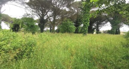 Saint-Maixant Terrain à bâtir - 2390733-9573annonce1202601134kqdg.jpeg Maisons Open