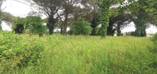 Terrain à bâtir à Saint-Maixant, Nouvelle-Aquitaine