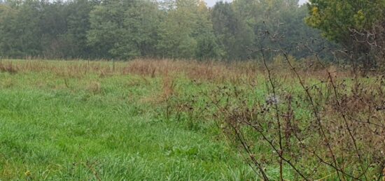 Terrain à bâtir à Tizac-de-Lapouyade, Nouvelle-Aquitaine