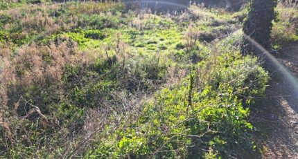 Salon-de-Provence Terrain à bâtir - 2400947-11041annonce220260121CEfvu.jpeg Maisons Open