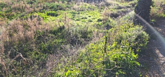 Terrain à bâtir à , Bouches-du-Rhône