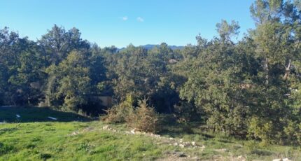 Rocbaron Terrain à bâtir - 2399219-5922annonce420260120xyZ3I.jpeg Maisons Open