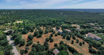 Saint-Siffret Terrain à bâtir - 2401280-3243annonce120260122aWAN0.jpeg Maisons Open