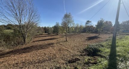 Saint-Aulaye Terrain à bâtir - 2401239-11367annonce220260122NRHHm.jpeg Maisons Open