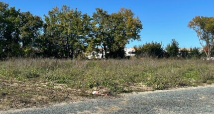 Ardillières Terrain à bâtir - 2401376-9644annonce2202601221ZNty.jpeg Maisons Open