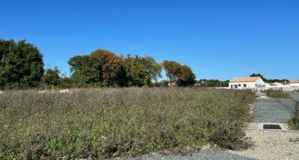 Ardillières Terrain à bâtir - 2401376-9644annonce320260122mCTgO.jpeg Maisons Open