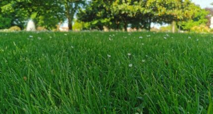 Audenge Terrain à bâtir - 2401536-3957annonce12026012262kwT.jpeg Maisons Open