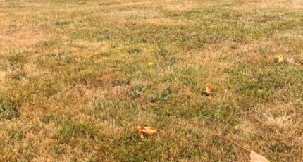 Capian Terrain à bâtir - 2401237-3601annonce120260122vbT6T.jpeg Maisons Open