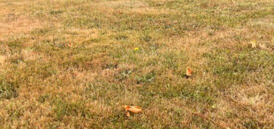 Terrain à bâtir à Capian, Nouvelle-Aquitaine