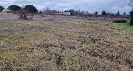 Barsac Terrain à bâtir - 2401195-3601annonce120260122cJeJM.jpeg Maisons Open