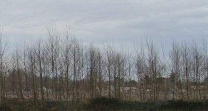 Saint-Germain-du-Puch Terrain à bâtir - 2401473-3601annonce1202601227kdRC.jpeg Maisons Open