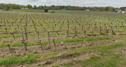 Artigues-près-Bordeaux Terrain à bâtir - 2401282-3601annonce120260122DTwVc.jpeg Maisons Open