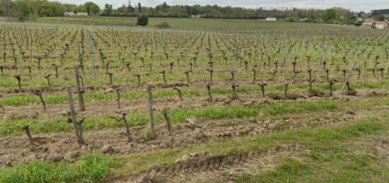 Terrain à bâtir à Artigues-près-Bordeaux, Nouvelle-Aquitaine