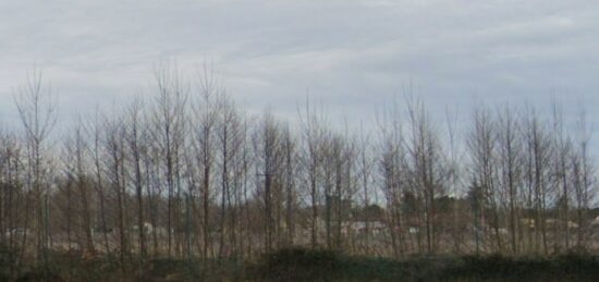 Terrain à bâtir à Beychac-et-Caillau, Nouvelle-Aquitaine