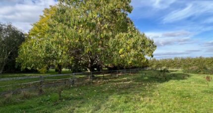 Beynes Terrain à bâtir - 2301658-11364annonce4202510109TaNT.jpeg Maisons Open