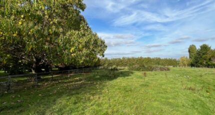 Beynes Terrain à bâtir - 2301606-11364annonce520251010AJJHz.jpeg Maisons Open