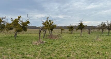 Bû Terrain à bâtir - 2309025-11364annonce220251017fTBnB.jpeg Maisons Open